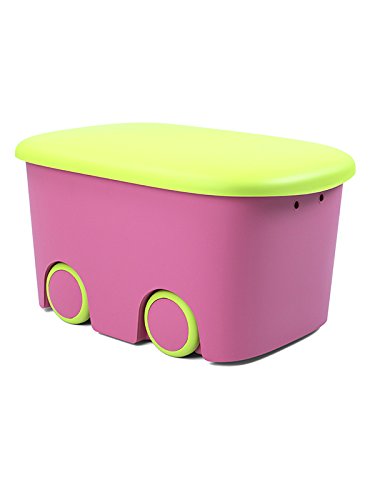 Plastiken (HLKRQ) Kids Fresh - Caja de Almacenamiento, Rosa y Pistacho, 58x38x32 cm, 1 unidad