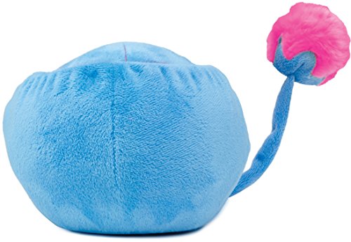 Popples – 6028866 – peluche transformable – 25 cm – Modelo Aleatorio , Modelos/colores Surtidos, 1 Unidad