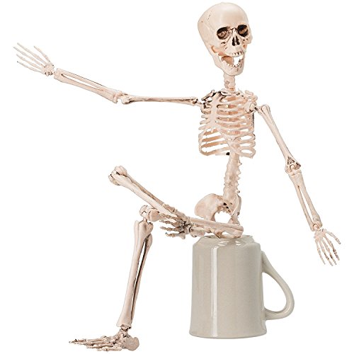 PREXTEX Esqueleto para Halloween de 48cm Hacer Poses - Esqueleto de Cuerpo Entero con Articulaciones Movibles para Posar y 2 Sets de Accesorios para Cuerpo para la Mejor Decoración de Halloween