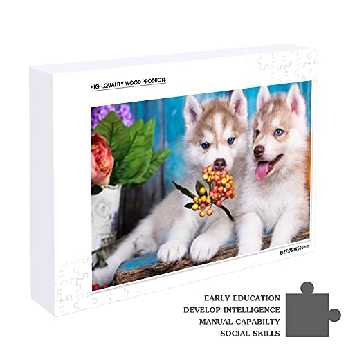 Redecor Rompecabezas de 500 piezas para niños adultos adolescentes Husky Puppy Multi-Puzzle sostenible Puzzle educativo juguete