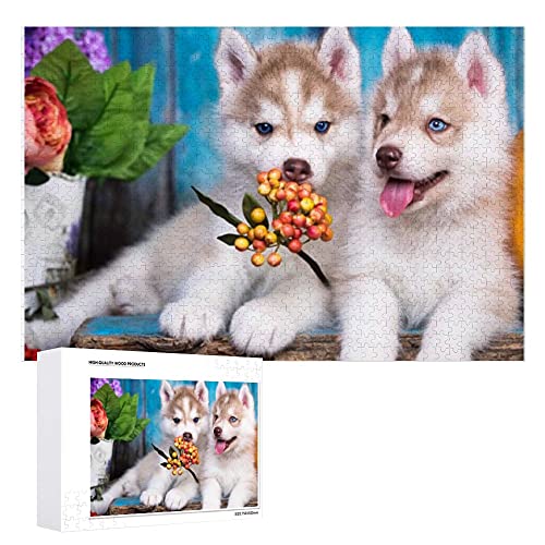 Redecor Rompecabezas de 500 piezas para niños adultos adolescentes Husky Puppy Multi-Puzzle sostenible Puzzle educativo juguete