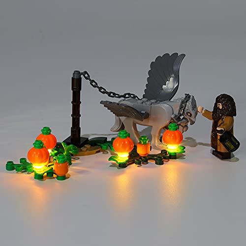 RIYIFER Kit de Luces LED for Lego 75947 Harry Potter Hagrid's Hut Set, Kit de iluminación Compatible with Lego 75947 (Solo Luces, sin Bloques de Ladrillos)