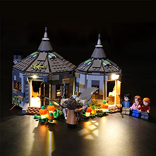 RIYIFER Kit de Luces LED for Lego 75947 Harry Potter Hagrid's Hut Set, Kit de iluminación Compatible with Lego 75947 (Solo Luces, sin Bloques de Ladrillos)