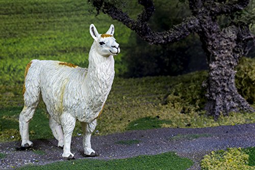 Safari 227429 Llama