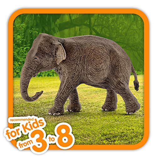 Schleich-14753 Figura de Elefante asiático Hembra, Colección Wild Life, Color marrón, 13 cm (14753)