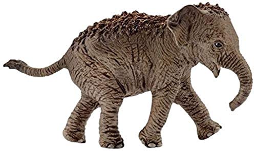 Schleich-14755 Cría de Elefante asiático, Color marrón (14755)