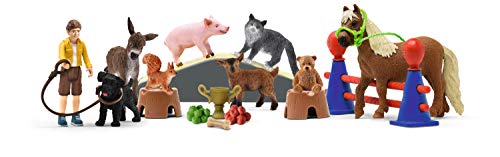 Schleich 98063 Play Set - Calendario de Adviento Farm World 2020 (Farm World)