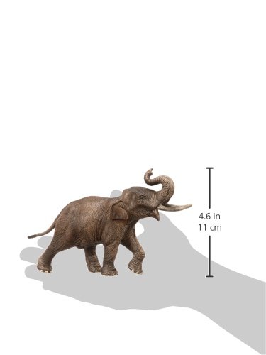 Schleich - Elefante asiático, Macho, Figura (14754)