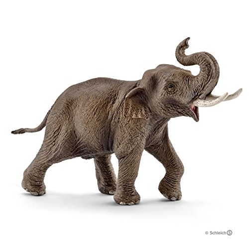 Schleich - Elefante asiático, Macho, Figura (14754)