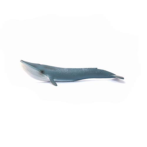 Schleich- Figura Ballena Azul, 4,9 cm