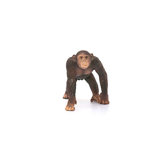 Schleich- Figura chimpancé macho, 5,7 cm