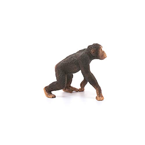 Schleich- Figura chimpancé macho, 5,7 cm