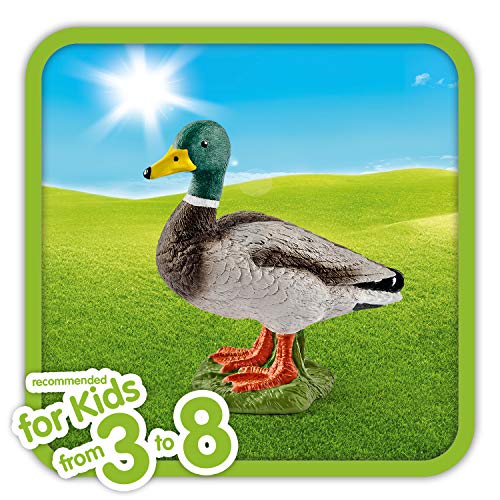 Schleich- Figura de Pato Macho, Ánade Real, Colección Farm World, 4.4 cm (13824)