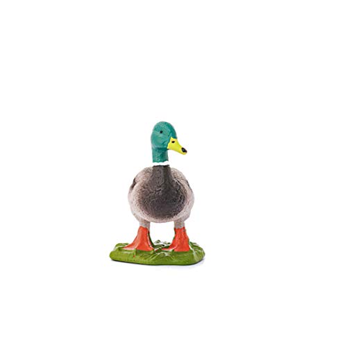 Schleich- Figura de Pato Macho, Ánade Real, Colección Farm World, 4.4 cm (13824)