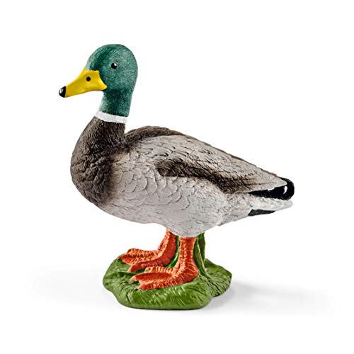 Schleich- Figura de Pato Macho, Ánade Real, Colección Farm World, 4.4 cm (13824)