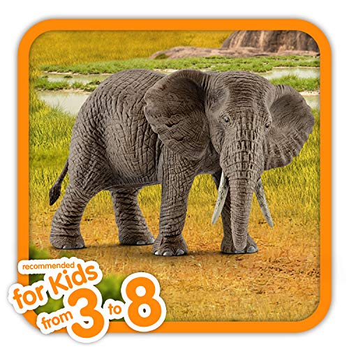 Schleich - Figura Elefante Africano Hembra