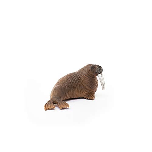 Schleich- Figura Morsa, 5,1 cm.