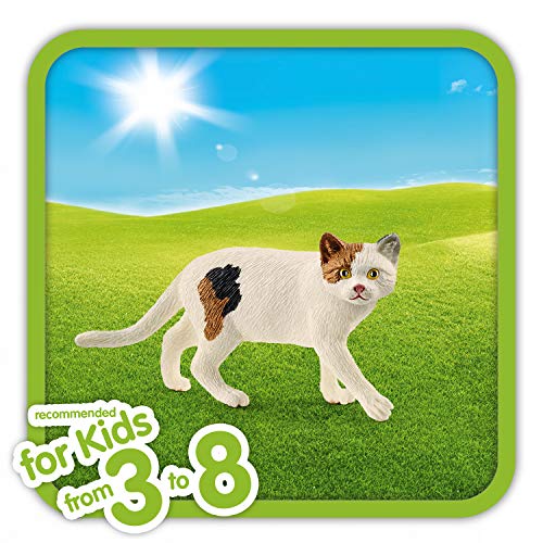 Schleich - Gato americano de pelo corto (13894)