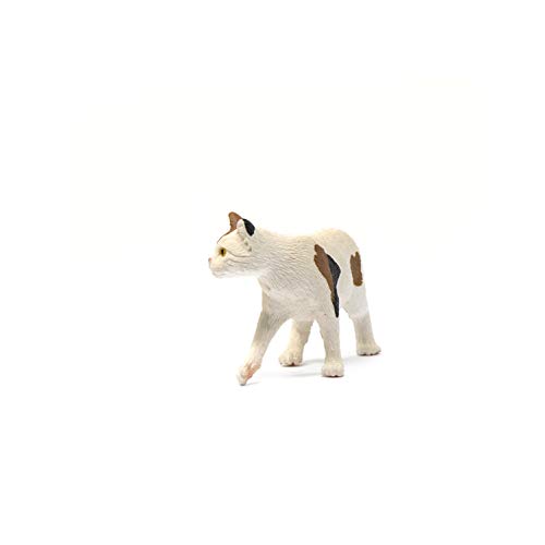 Schleich - Gato americano de pelo corto (13894)