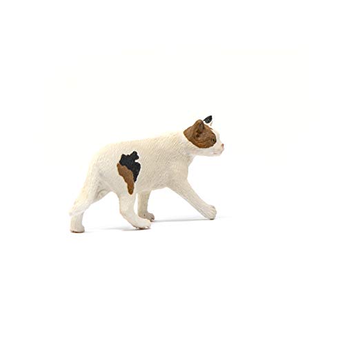 Schleich - Gato americano de pelo corto (13894)