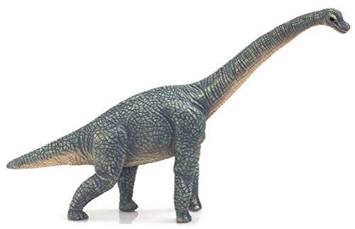 Science4you - Brachiosaurus, Figura de plástico, Talla XL (719.0)