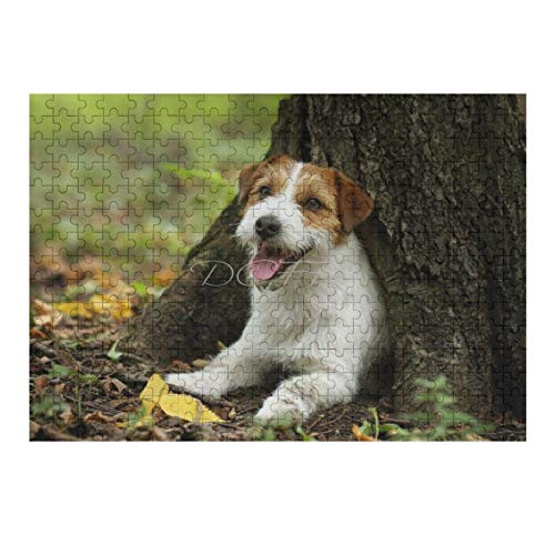 Scott397House Jigsaw Puzzles 500 Pieces for Adults, Large Piece Puzzle Jack Russell Terrier Dog Puppy Pet Animal Fun Game Toys Birthday Gifts Fit Together