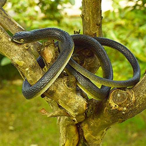 Serpientes de Goma,Serpientes de goma realista,jardín de Goma en Forma de Serpiente 130cm Negro,para Accesorios de Jardín para Asustar a los Pájaros, Bromas, Decoración de Halloween.