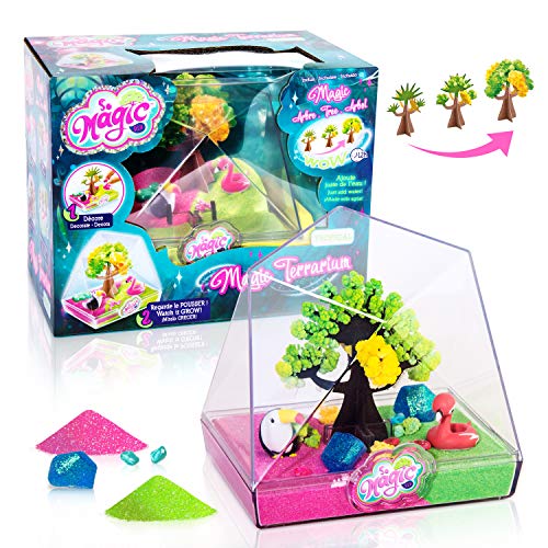 So Magic DIY- JARDIN MAGICO, Color surtido (CANAL TOYS MSG003)