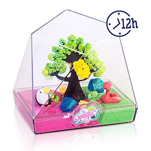 So Magic DIY- JARDIN MAGICO, Color surtido (CANAL TOYS MSG003)