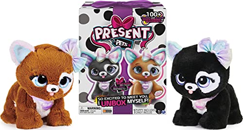 Spin Master- Present Pets - Glitter Pup (6059159)