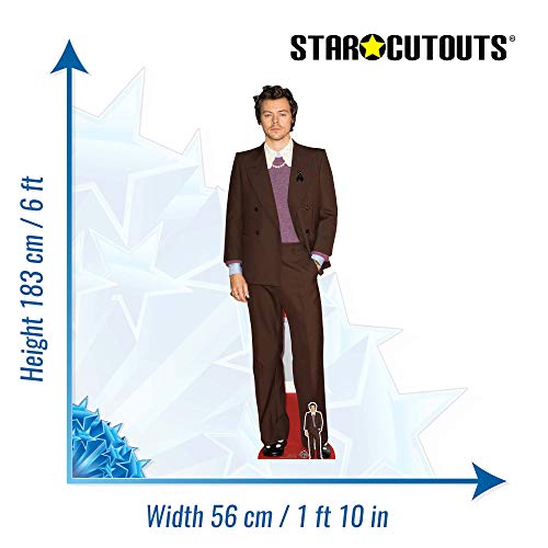 STAR CUTOUTS CS836 Harry Singer Songwriter - Cortador de cartón con Minifalda Gratis, cumpleaños, Regalos, Fiestas y Aficionados, Multicolor, Regular