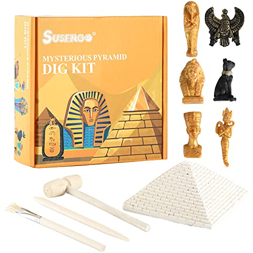 SuSenGo Kit de excavación, Fósiles Dig Kit Patrimonio de la Humanidad, fósiles pirámide desenterrar, Digging Excavation Kit Juego Educativo de minería para niños niñas , Incluir 6 fósiles reales