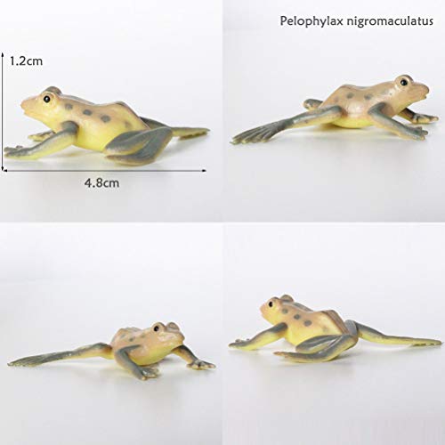 Toyvian Figuras de Ranas Juguetes Divertidos 12 Piezas, Juguetes de Animales de Ranas de plástico Surtidos, Ranas de Juguete realistas, Juego de Juguetes de Ranas con rocalla y árbol