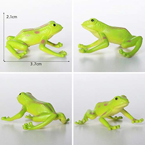 Toyvian Figuras de Ranas Juguetes Divertidos 12 Piezas, Juguetes de Animales de Ranas de plástico Surtidos, Ranas de Juguete realistas, Juego de Juguetes de Ranas con rocalla y árbol