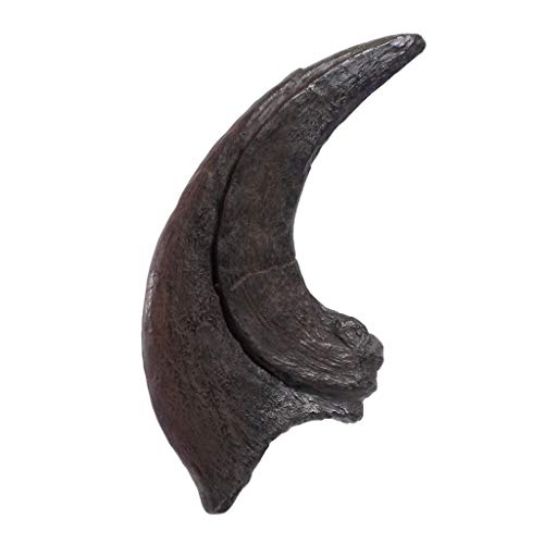 TRIASSICA Huge Raptor Claw - Utahraptor - Réplica de dinosaurio fósil