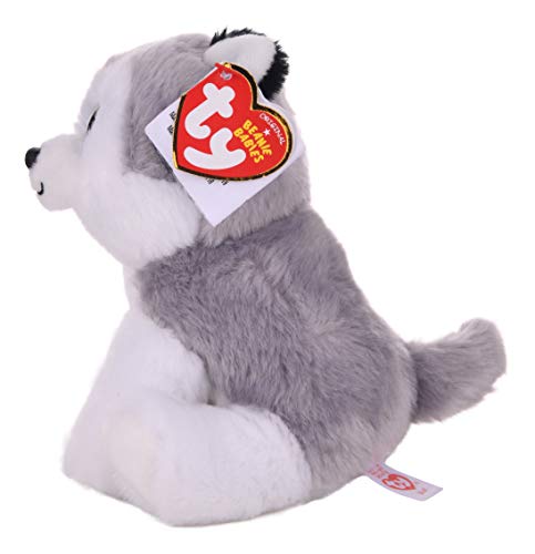 TY - Beanie Babies Buff, peluche husky, 15 cm (United Labels Ibérica 42183TY) , Modelos/colores Surtidos, 1 Unidad