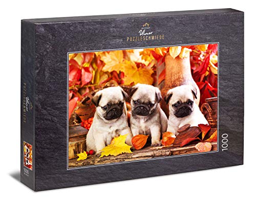 Ulmer Puzzleschmiede - Puzzle "Adorables cachorros": Puzzle de 1000 piezas - Imagen de tres lindos cachorros de carlino para los amantes de los perros