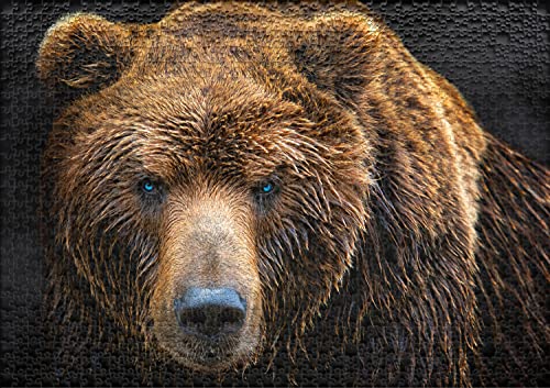 Ulmer Puzzleschmiede - Puzzle "Grizzly": Puzzle de 1000 piezas - el oso en primer plano - un moderno rompecabezas animal