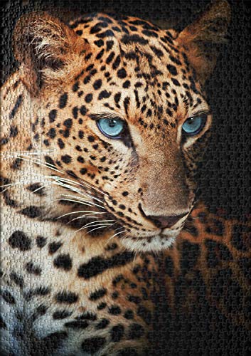 Ulmer Puzzleschmiede - Puzzle Leopardo: Puzzle de 1000 Piezas - Retrato Animal de un Noble Leopardo - excelente fotografía de Animales