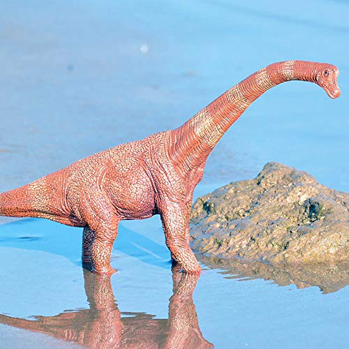 Vientiane Juguetes Dinosaurio Grandes, Juguete Dinosaurio Brachiosaurus, Model Dinosaurio Estático Grande, Juguete Dinosaurio Plástico Realista, Modelo Dinosaurio Estático de 7 Pulgadas Alto