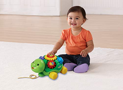 VTech- Tortuga Infantil interactiva con luz y Voz (3480-143122)