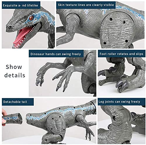 WDSWBEH Juguete de dinosaurio - Velociraptor azul, control remoto dinosaurio juguete RC inteligente robot juguete regalos para niños niño/niña