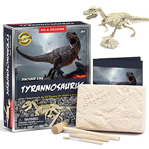 welltop Fósil de Dinosaurio,Excavar y Descubrir Dinosaurio jurásico para niños,Rompecabezas Huesos Educativo Arqueología Fósil Esqueleto(Tirano saurio Rex)