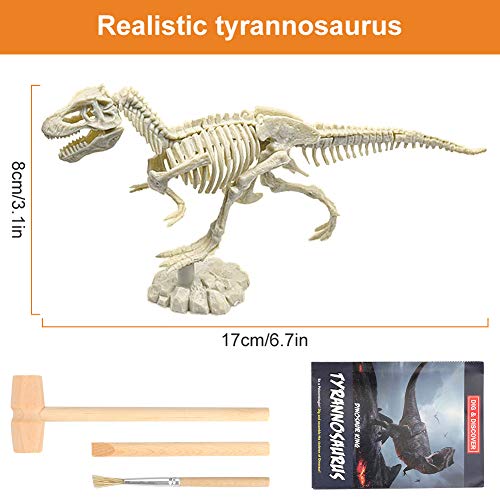 welltop Fósil de Dinosaurio,Excavar y Descubrir Dinosaurio jurásico para niños,Rompecabezas Huesos Educativo Arqueología Fósil Esqueleto(Tirano saurio Rex)