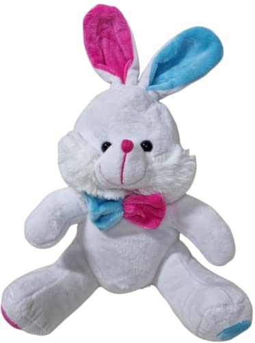 1 Conejo de Peluche Suave con Felpa Fina de 25cm, Peluche Conejo Blanco