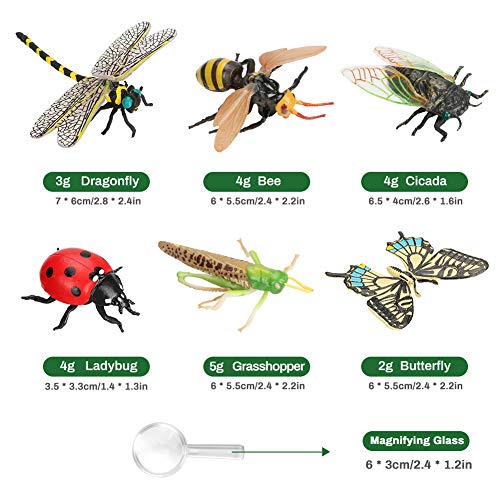 Achort 6pcs Insectos e Insectos de plástico para niños Figuras de Insectos Juguetes Figuras de Insectos Plásticos Kits para educación/Juguetes de Halloween/Fiestas temáticas/Regalos cumpleaños