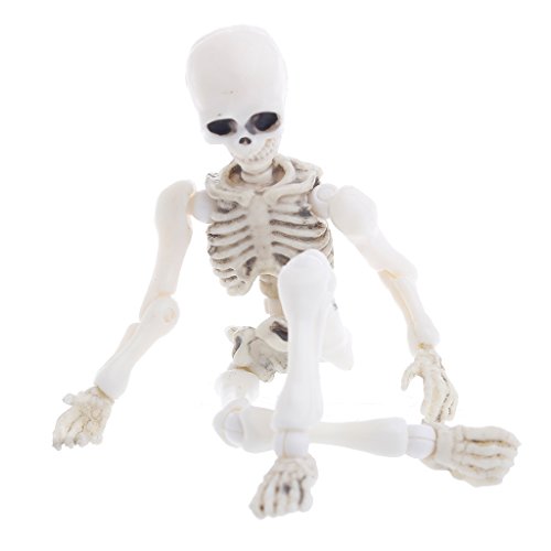 AERVEAL Figura simulada, Esqueleto móvil de Mr.Bones, Modelo Humano, Calavera, Cuerpo Completo, Mini Figura de Juguete, Halloween