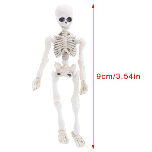 AERVEAL Figura simulada, Esqueleto móvil de Mr.Bones, Modelo Humano, Calavera, Cuerpo Completo, Mini Figura de Juguete, Halloween