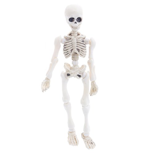 AERVEAL Figura simulada, Esqueleto móvil de Mr.Bones, Modelo Humano, Calavera, Cuerpo Completo, Mini Figura de Juguete, Halloween