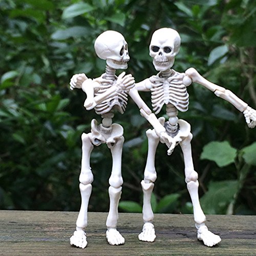 AERVEAL Figura simulada, Esqueleto móvil de Mr.Bones, Modelo Humano, Calavera, Cuerpo Completo, Mini Figura de Juguete, Halloween